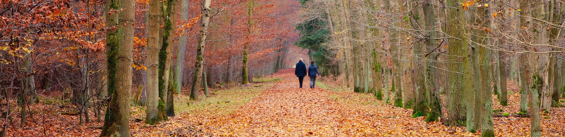 Retirement Planning